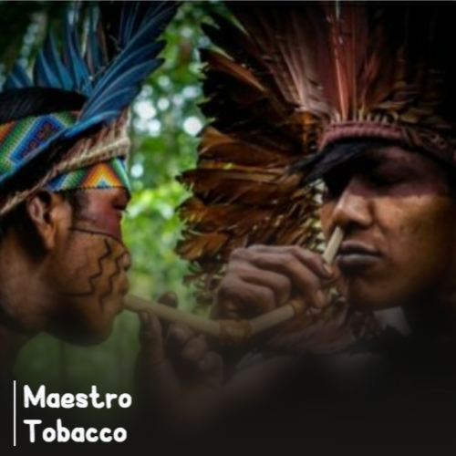 maestro tobacco